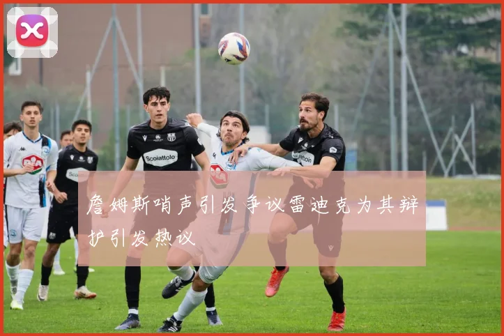 詹姆斯哨声引发争议雷迪克为其辩护引发热议